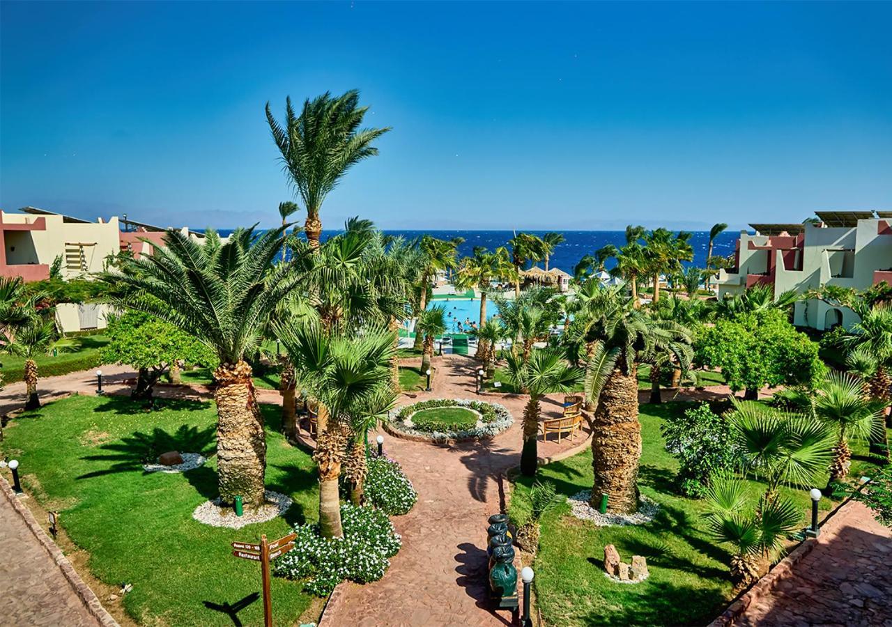 Tropitel Oasis 4* Дахаб